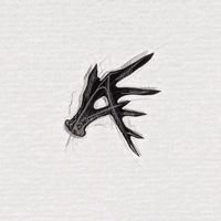 americanantlercompany