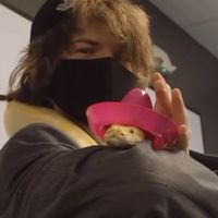 error_404_gogy_alert