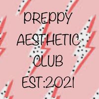 preppy._aesthetics_.club