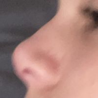 nose.tips