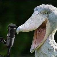 original sound - FinalZephyr