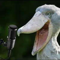 original sound - finalzephyr