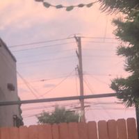 ernestinaflores23