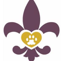 resurgevetspecialists