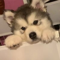 happyandadorable