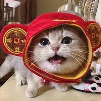 games_cat01