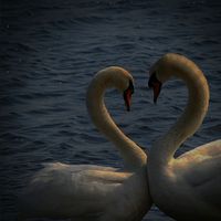 Good old fashioned lover boy sped up