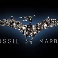 fossilmarble
