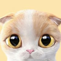 awwwcat_x
