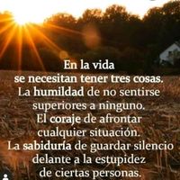 elleryortega801