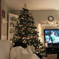 C ʜ ʀ ɪ s ᴛ ᴍ ᴀ s