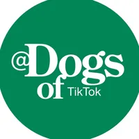 original sound - dogsoftiktok