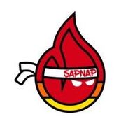 sapnapvids