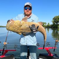 bscatfishing