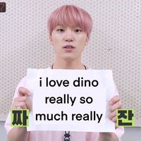 dinofcs