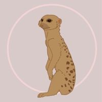 random.adopt.me.acc1