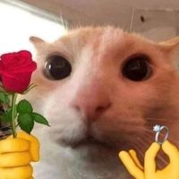 ilnsmhtb