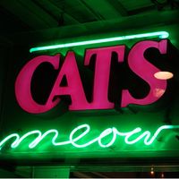 catsmeownola