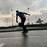 trippwilliams12