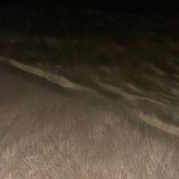 original sound