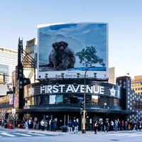 original sound - First Avenue
