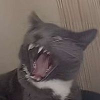crybabybrynne