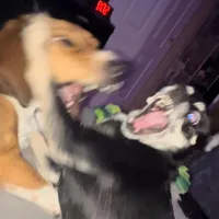 Follow me give me my clout