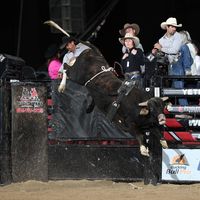 andria_hutchens