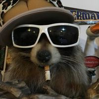 jupiterssupercoolspam