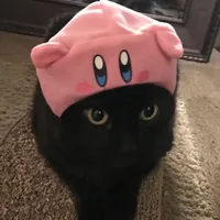 Titi me pregunto sped.hispan1c