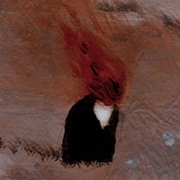 icantsavemyself73938