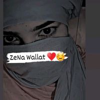 zenawallat8779613929232