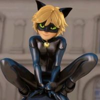 miraculous_.xxladynoir