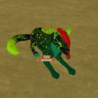 lapfoxed