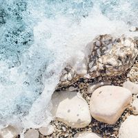 tblw.decoratinghouses