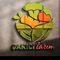 cakicitarim2133