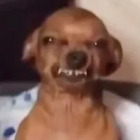 original sound - musiic.myhappiness