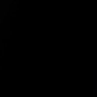 nonperson_