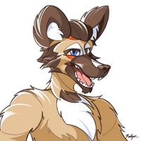 thehypercoyote