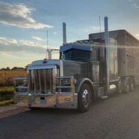 montana_truckin