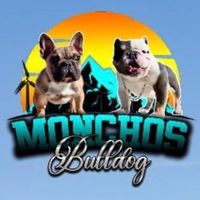 monchosbulldogss