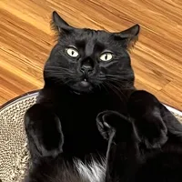 original sound - trinstein