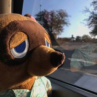 stack w juno6x OUT NOWW