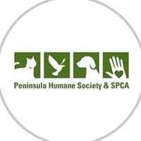 original sound - Peninsula Humane Society& SPCA