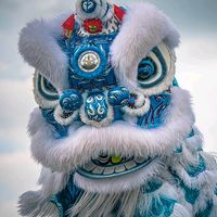 lansurongvietnam