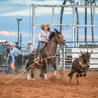 diamond.c.horses