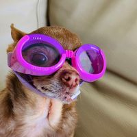 missolive_ifyourenasty