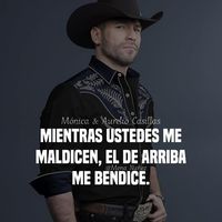rolandocruz7547
