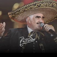 vicentefernnades52