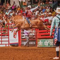 officialmarcelautman